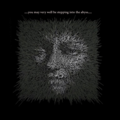 You May Very Well Be Stepping Into The Abyss