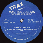 Feel The Mood by Maurice Joshua With Hot Hands Hula