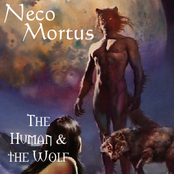 The Human & The Wolf