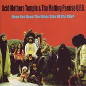 Acid Mothers Temple: Have You Seen the Other Side of the Sky?