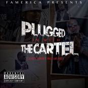 Plugged in with the Cartel