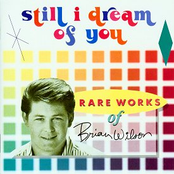 Still I Dream Of You-Rare Works Of Brian Wilson