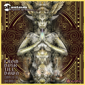 From Dusk Till Dawn (Compiled By Wacamolo)