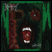 With Gangrene Edges / Voiidwarp