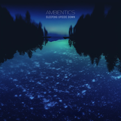 Sleeping Upside Down