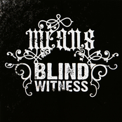 Means/Blind Witness Split