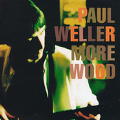 This Is No Time by Paul Weller