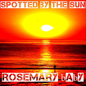Spotted By the Sun
