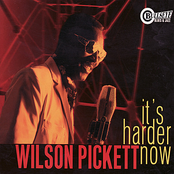 All About Sex by Wilson Pickett