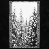 Amid the Winter Shrine