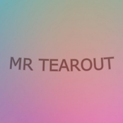 MR TEAROUT
