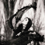 Krywyryi (Fairy's Shadow)