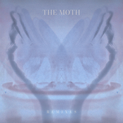 The Moth (Remixes)