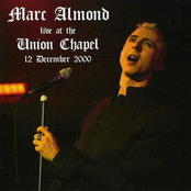 Vision by Marc Almond