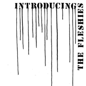 Introducing The Fleshies