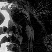 To Cast the Last Shadow