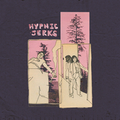 The Spirit of The Beehive: Hypnic Jerks