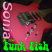 Sonja & the Funk Fish