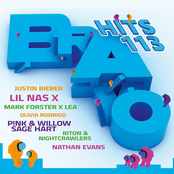 Bravo Hits, Vol. 113