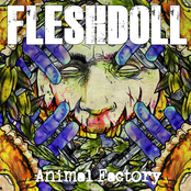 Animal Factory