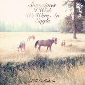 Too Many Birds by Bill Callahan