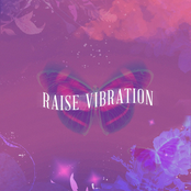 Raise Vibration