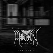 Zerotonin - Single