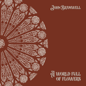 A World Full of Flowers