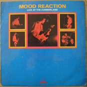 Live at the Cumberland