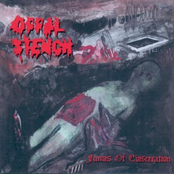 Fumes Of Evisceration (EP)