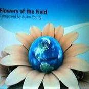 Flowers Of The Field