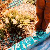 I'm Supposed To Tell You Something