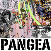 PANGEA