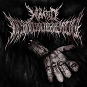 YOUSHOULDBEDISMEMBERED