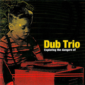 Dub Trio: Exploring The Dangers Of