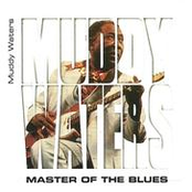 Masters of the Blues: The Best of Muddy Waters