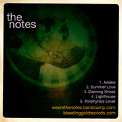 Introducing THE NOTES