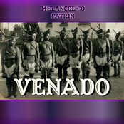 CD10.VENADO