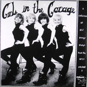 Girls In the Garage Vol 2