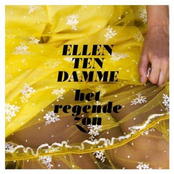 Het Regende Zon by Ellen Ten Damme
