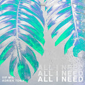All I Need (VIP Mix)