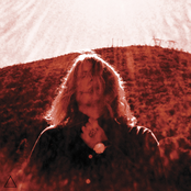 Don't You Want To Know? (sue) by Ty Segall