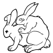 rabbit habit