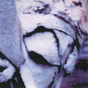 floritura deuteranopia