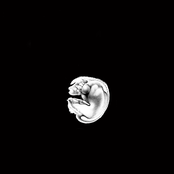 eyes open to look at the moon