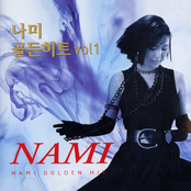 나미 골든히트 Vol. 1