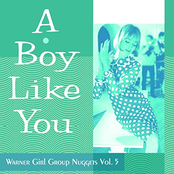 A Boy Like You: Warner Girl Group Nuggets Vol. 5