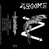 Zygome (Demo)