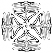 No Good Playing Around