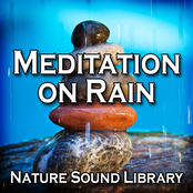 Meditation on Rain (Nature Sounds for Deep Sleep, Relaxation, Meditation, Spa, Sound Therapy, Studying, Healing Massage, Yoga and Chakra Balancing)